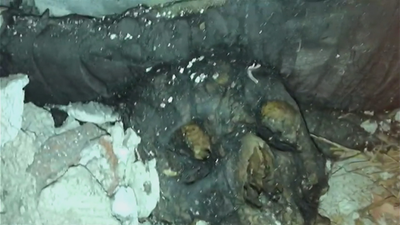 Huesos humanos al aire libre en el cementerio de la Almudena