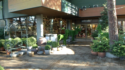 Decoración navideña a domicilio