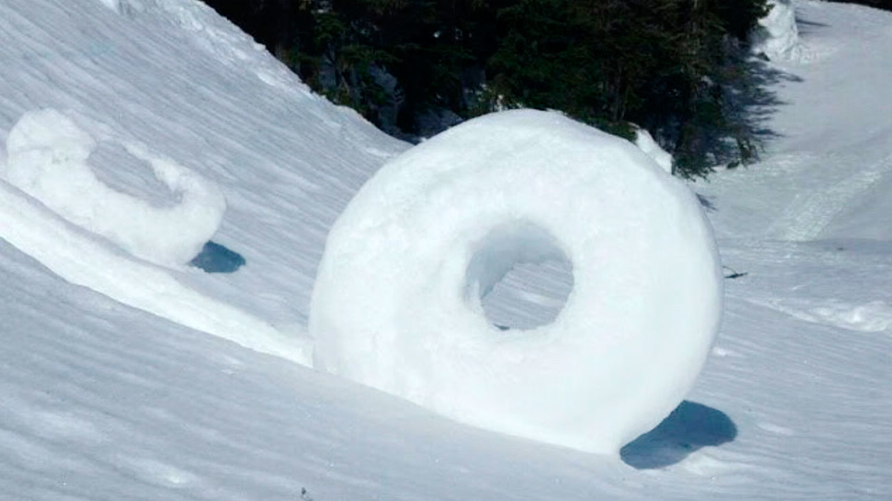 Rollitos de invierno