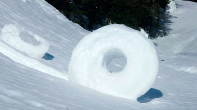 Rollitos de invierno