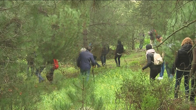 La UCO se suma a la investigación de la joven desaparecida en Huelva