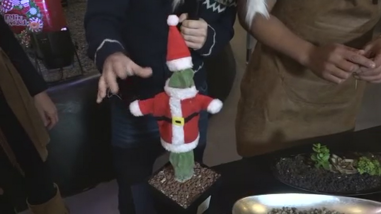 Decoración navideña con cactus