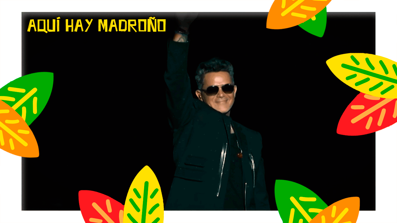 Este es el patrimonio que maneja Alejandro Sanz