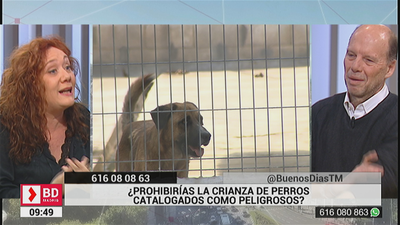 ¿Prohibirías la crianza de perros catalogados como peligrosos?