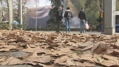 Un manto de hojas cubre las calles de Madrid