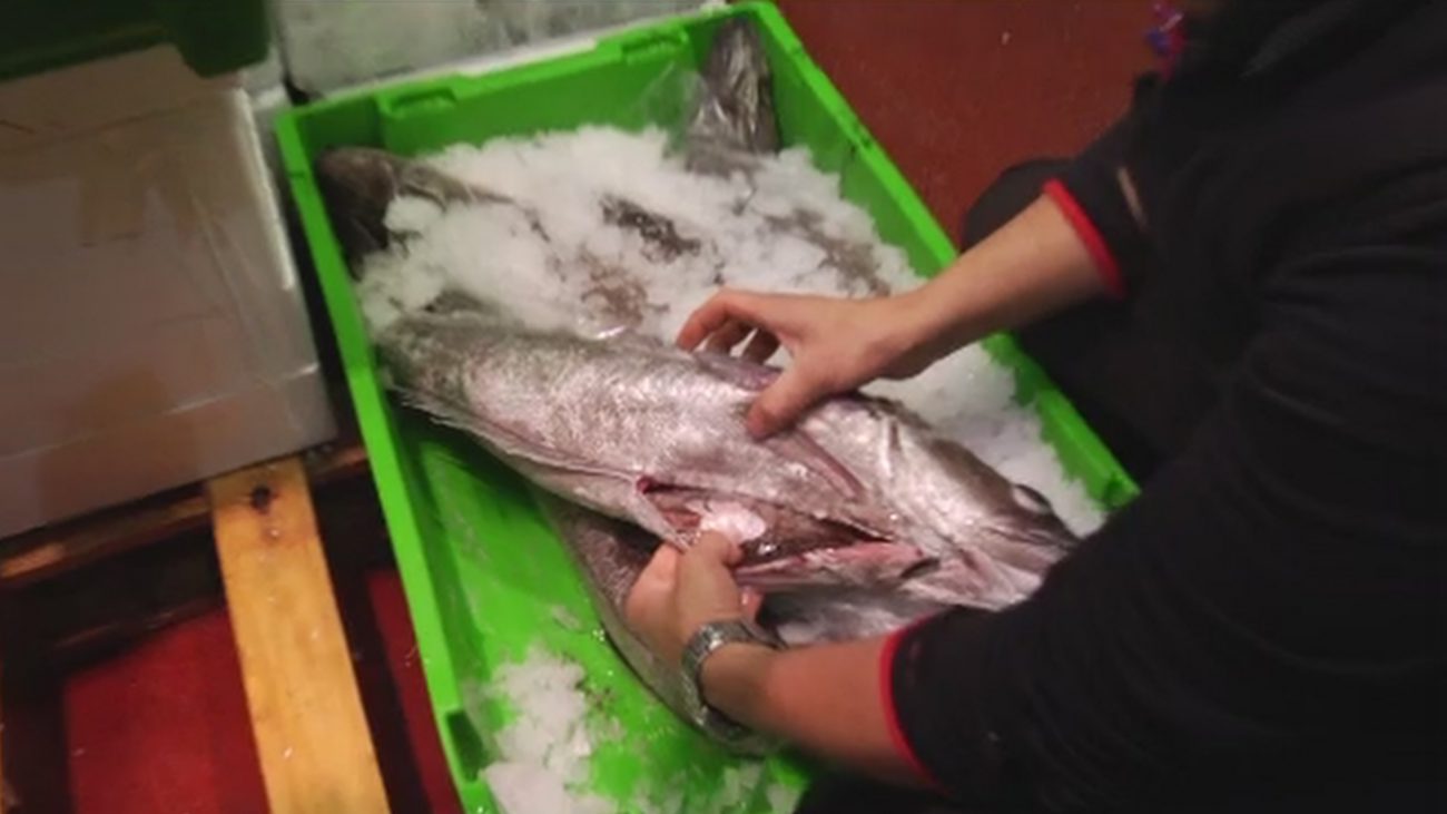 El día a día de un pescadero