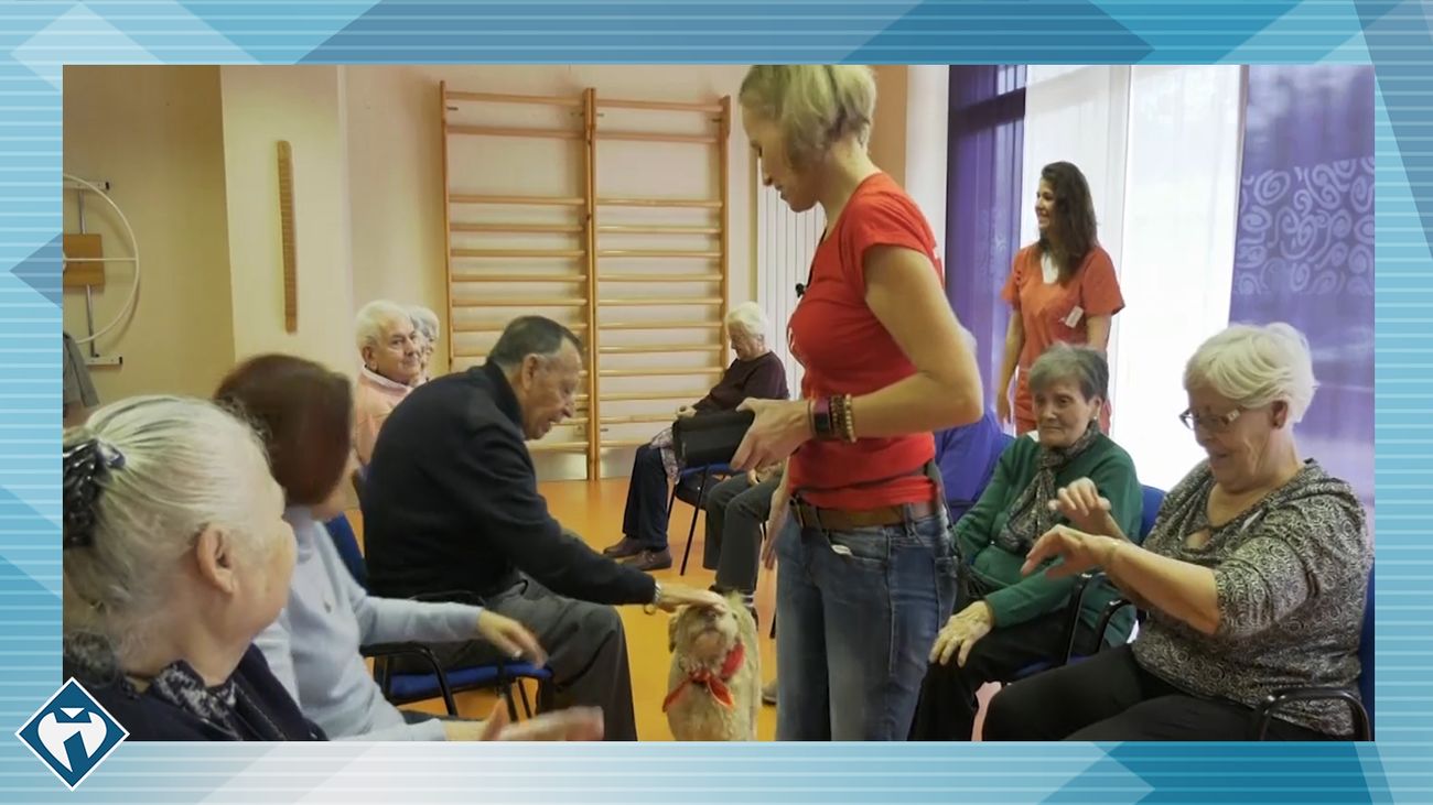 Salud al día 30.12.2018