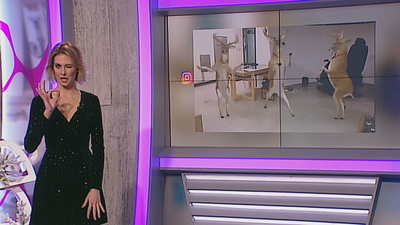 Risas, sustos y bailes en Navidad