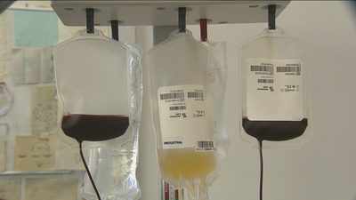 Puertas abiertas a la donación en el Centro de Transfusión