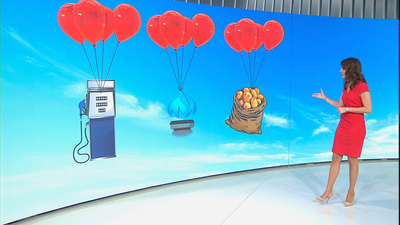 Estos son los productos que más bajaron y subieron de precio en 2018