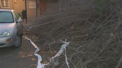 Los vecinos de Orcasitas, hartos de los restos de poda