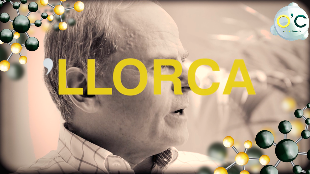 Entrevista a Javier Llorca, premio a la mejor carrera científica de la Sociedad Española de Materiales