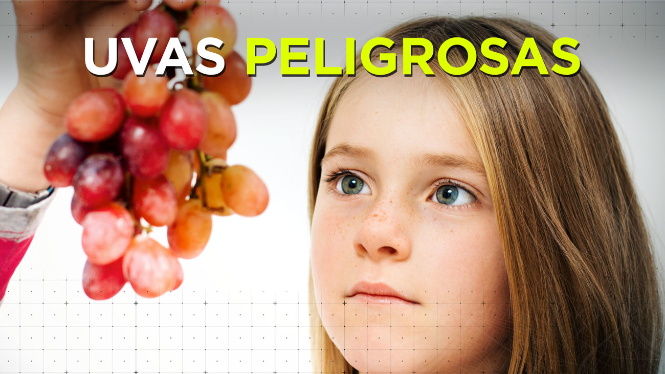 Cuidado con las uvas, peligro de asfixia