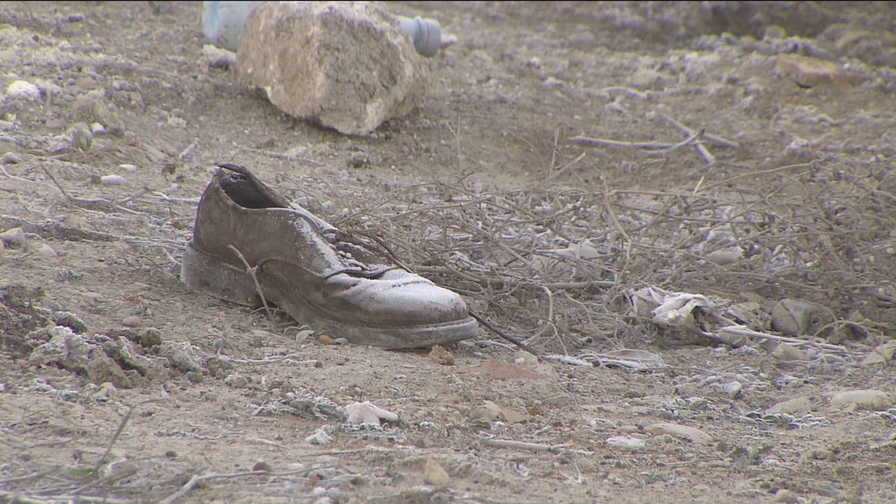 Detenido el dueño de los perros que atacaron salvajemente a un anciano