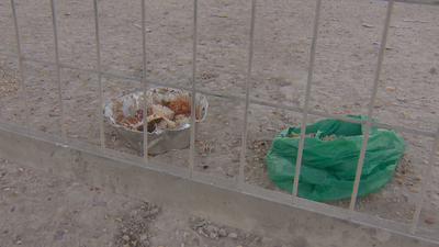 Muere el anciano atacado por tres perros rottweiler en Vallecas