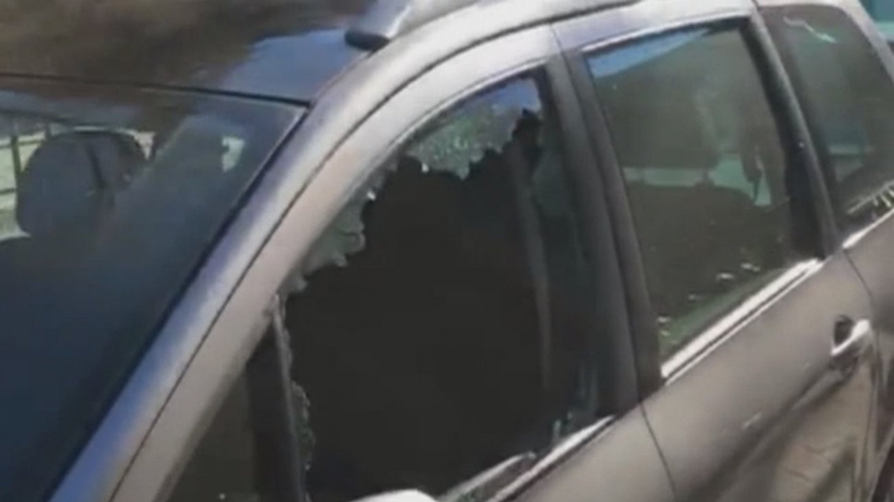 Oleada de robos y vandalismo en Alameda de Osuna