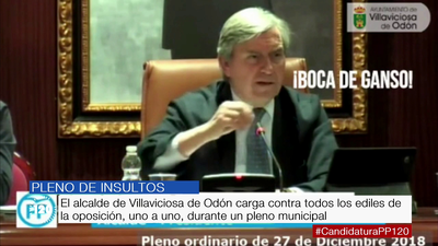 "Golfo", "boca de ganso"... Así fueron los insultos en un pleno del alcalde de Villaviciosa de Odón