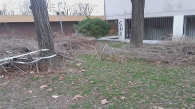 Los vecinos de Orcasitas, libres por fin de los restos de la poda