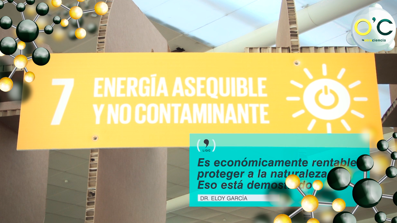 Económicamente es rentable proteger la naturaleza