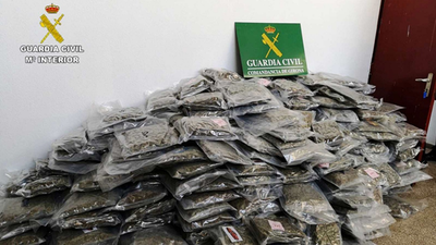 La Policía incauta una plantación de marihuana por accidente