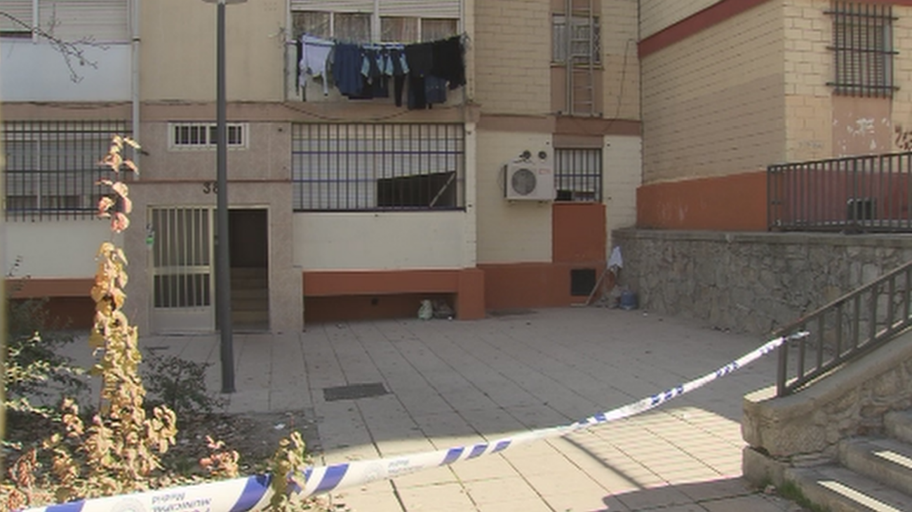 Desmantelada una gran plantación de marihuana en San Cristóbal