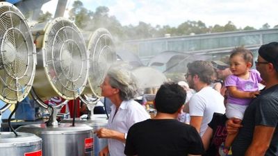 Temperaturas de casi 50 grados por la ola de calor en Australia