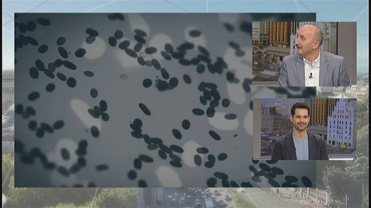 Más de 200.000 bichos conviven en nuestro hogar