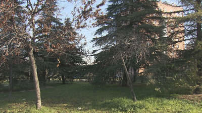 Presunta agresión sexual a una menor de 12 años en un parque de Vallecas