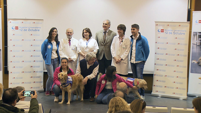 Éxito de la terapia asistida con perros para rehabilitar a pacientes alcohólicos