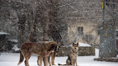 Casi 40 provincias con riesgo por frío y nieve