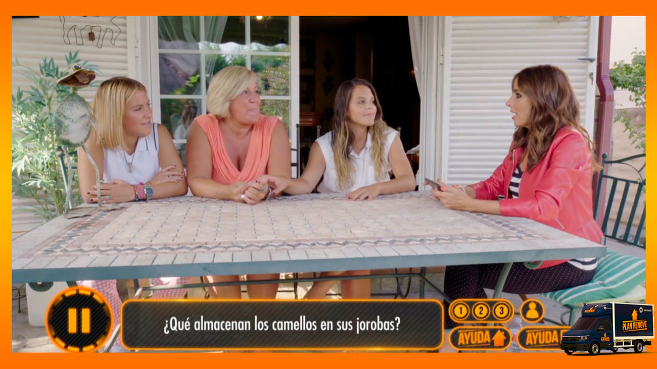 ¿Qué almacenan los camellos en sus jorobas?