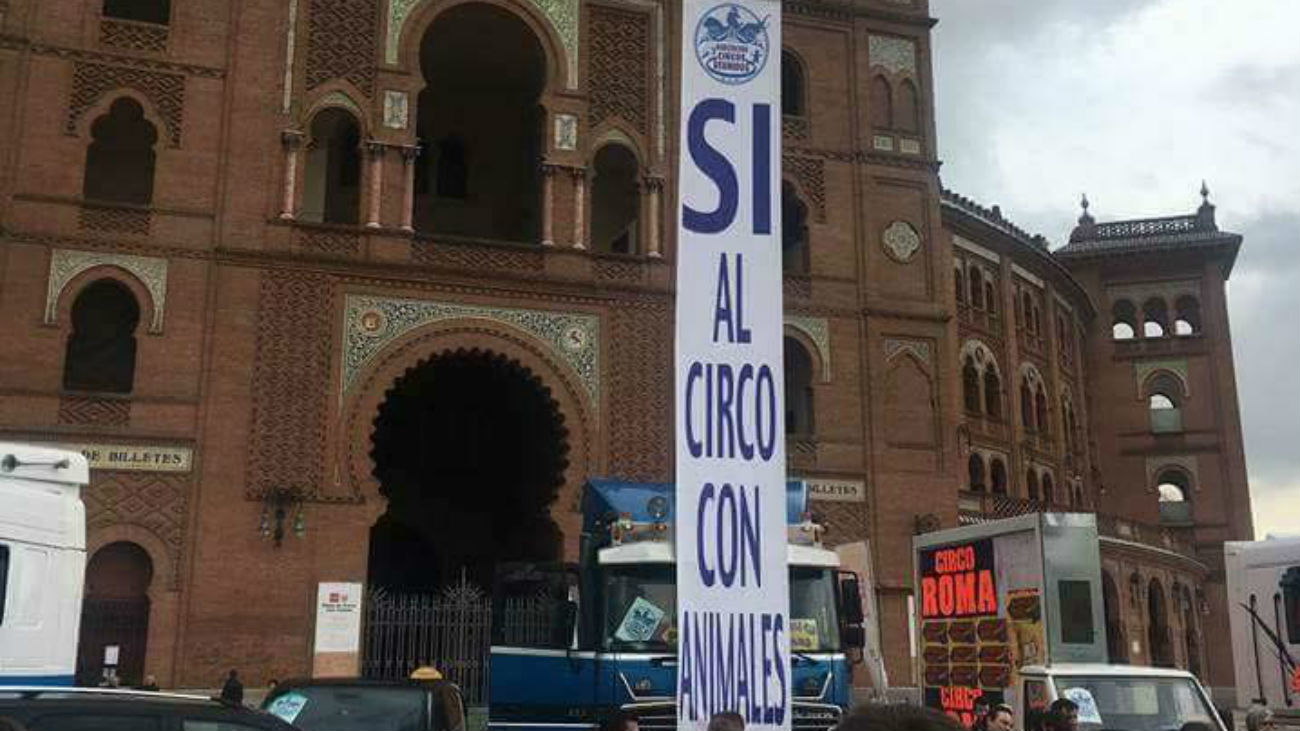 Circos Reunidos plantea una huelga de hambre en defensa del circo con animales