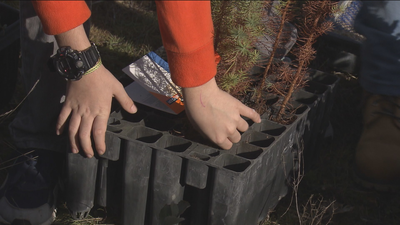 Los vecinos de Colonia Jardín reclaman más zonas verdes