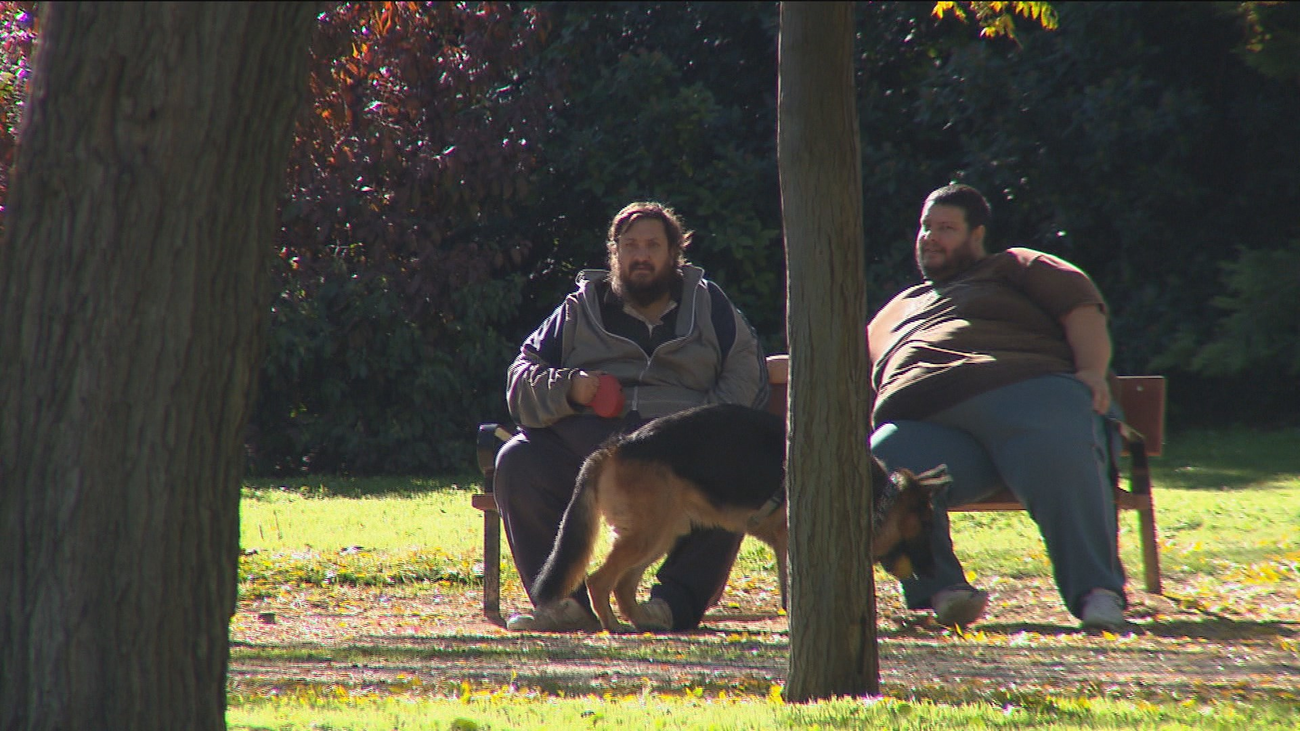 Casi la mitad de los madrileños sufren obesidad o sobrepreso