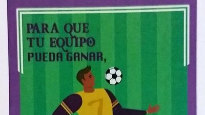 Dónde viajan los equipos