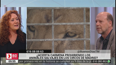¿Acierta Carmena prohibiendo los animales salvajes en los circos de Madrid?