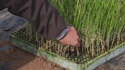 Producción ecológica en Velilla de San Antonio y Ciempozuelos