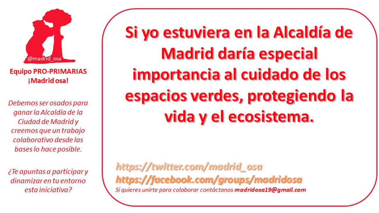 La sexóloga Marlis González, cuarta precandidata a las primarias del PSOE en Madrid