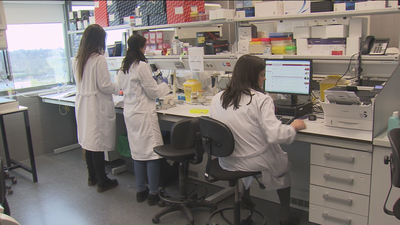 Aumenta la supervivencia de enfermos de cáncer gracias a biopsia líquida