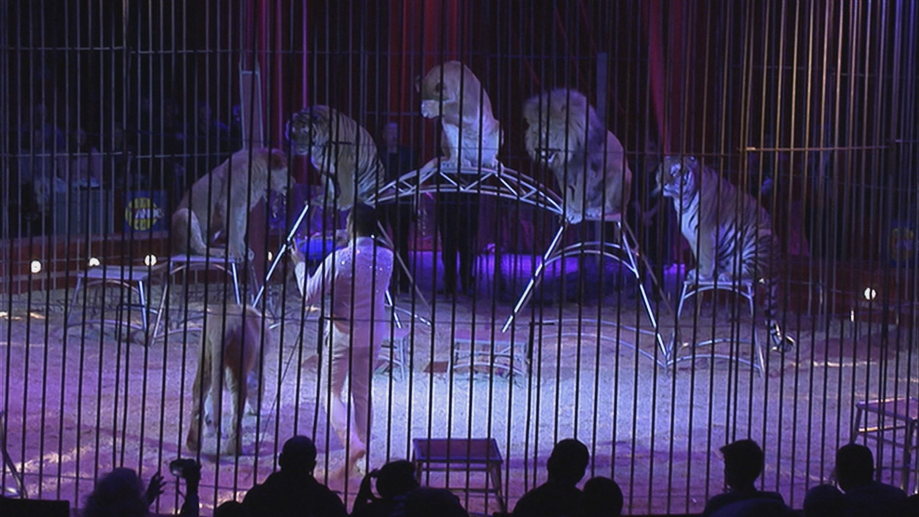 Los circos con animales se manifiestan para pedir al Ayuntamiento que no los prohíba