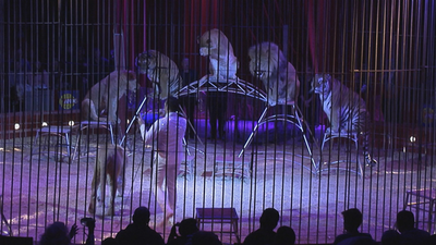 Los circos con animales se manifiestan para pedir al Ayuntamiento que no los prohíba