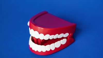 Profesiones con futuro: Protésico dental