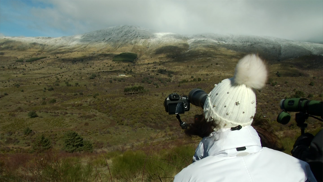 En busca del lobo ibérico