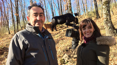 Mi cámara y yo: 'A veces veo bichos'