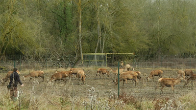 Un chequeo médico muy arriesgado