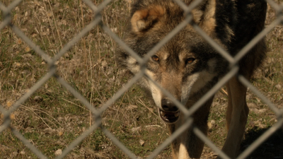 La residencia más salvaje, en Navas del Rey