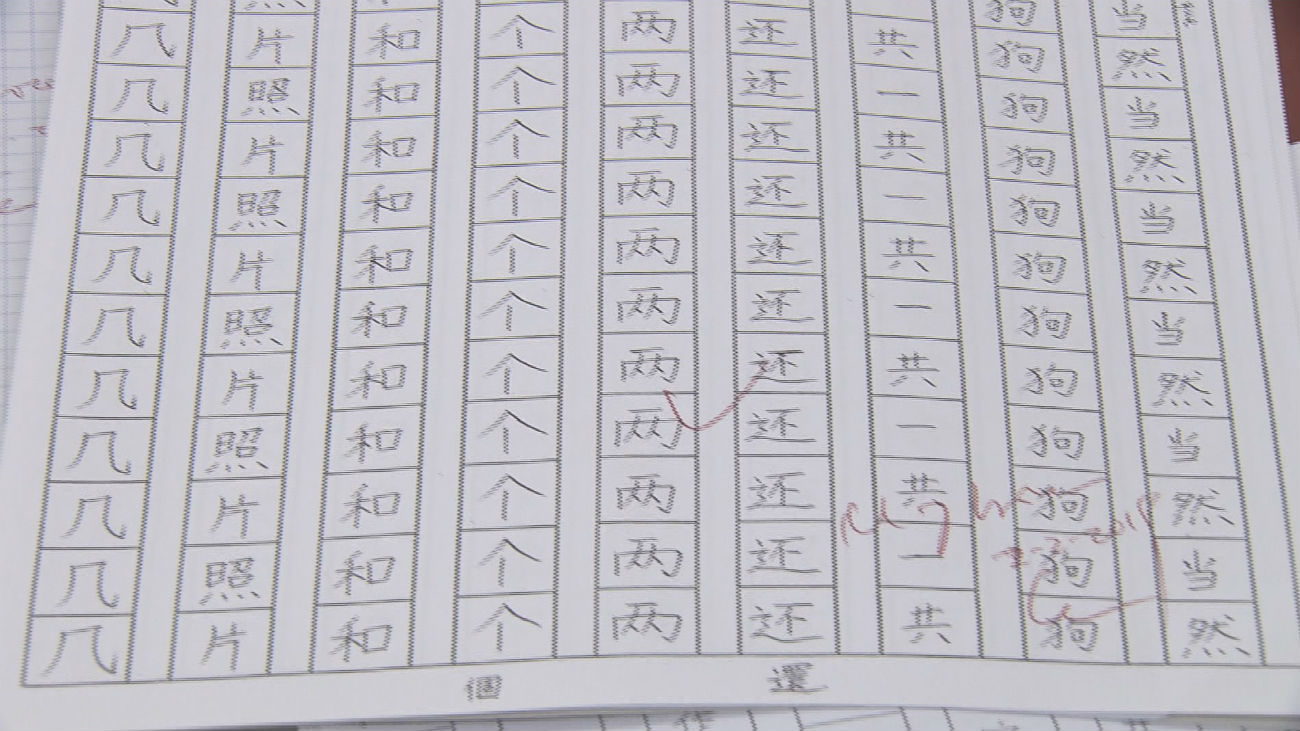 Crece el interés por estudiar chino entre los madrileños