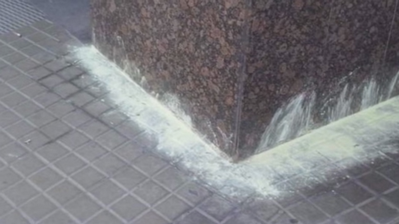 Envenenamiento de perros en San Sebastián de los Reyes