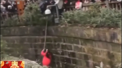 Rescatan en un zoo a una niña que cayó en el foso de los pandas