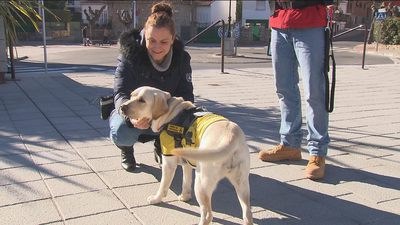 Ana y Luna, o cómo los perros pueden ayudar a personas con alzhéimer